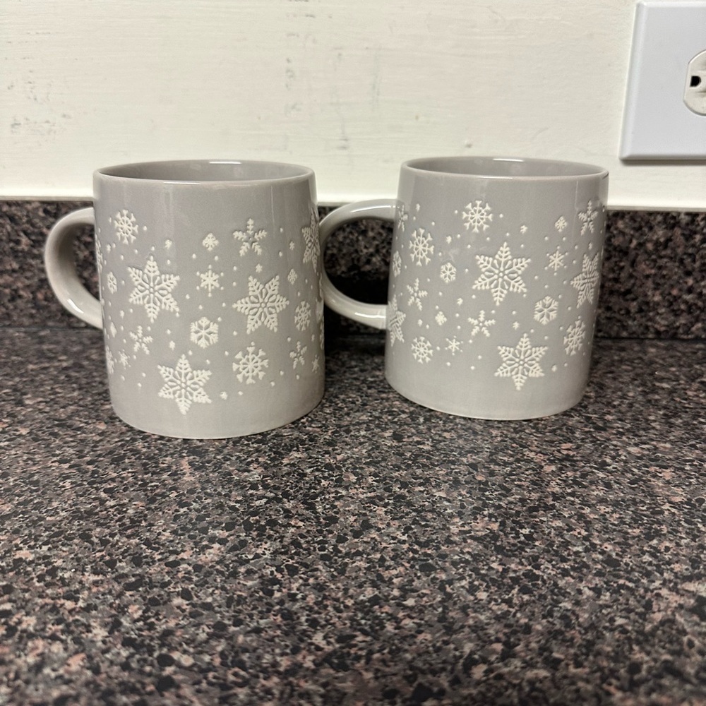Snowflake Gray Ceramic Mug Set